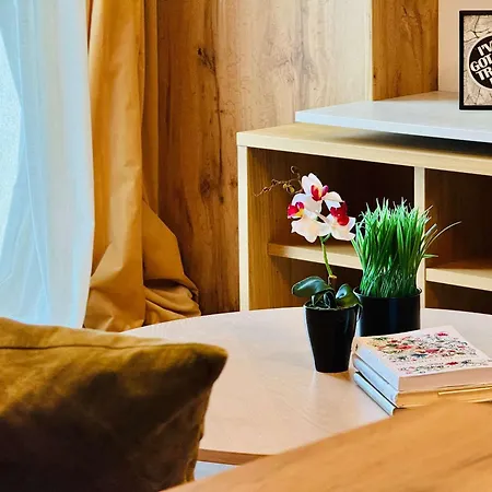 Joy V13 Apartment *