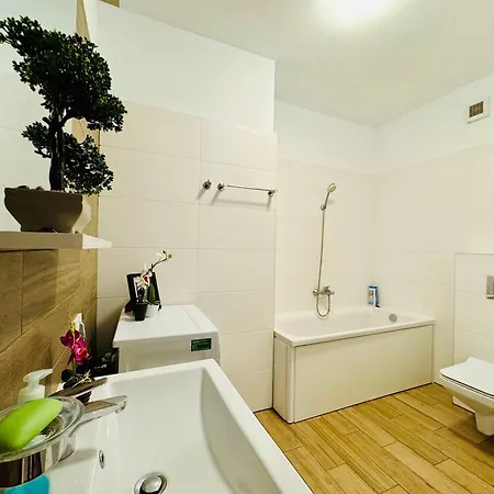 Apartment Joy V13 Timisoara